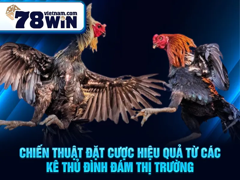 Chiến thuật đặt cược hiệu quả từ các kê thủ đình đám thị trường