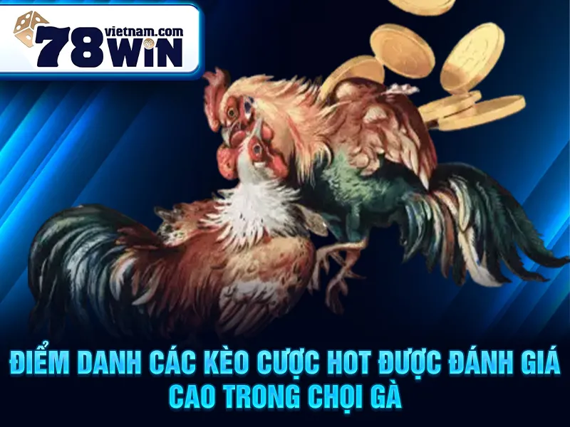 Điểm danh các kèo cược HOT được đánh giá cao trong chọi gà